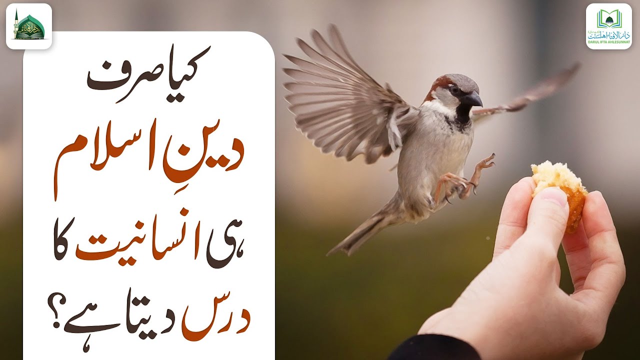 Kya Sirf Deen e Islam Hi Insaniyat ka Dars Deta Hai?